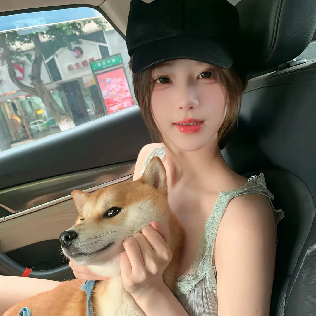 猫狗大战2